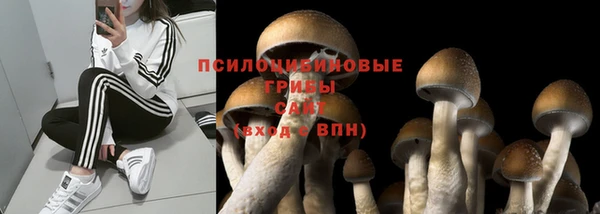 крисы Гусь-Хрустальный