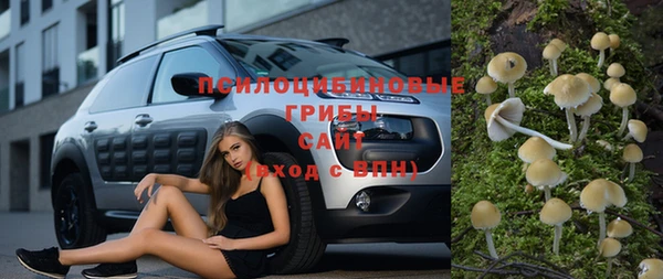 крисы Гусь-Хрустальный