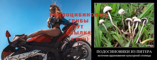 MESCALINE Гусиноозёрск