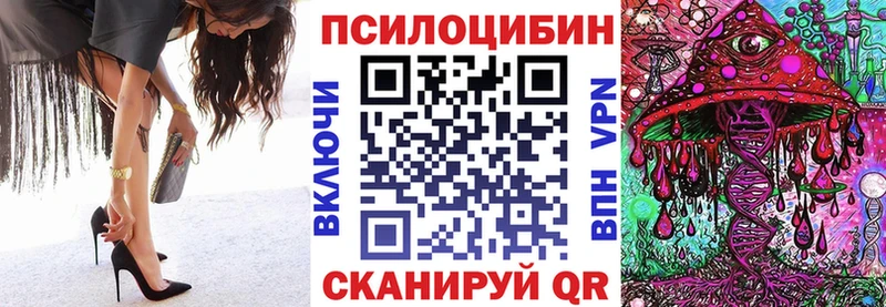 Галлюциногенные грибы Psilocybine cubensis  Купить закладки  Дербент 